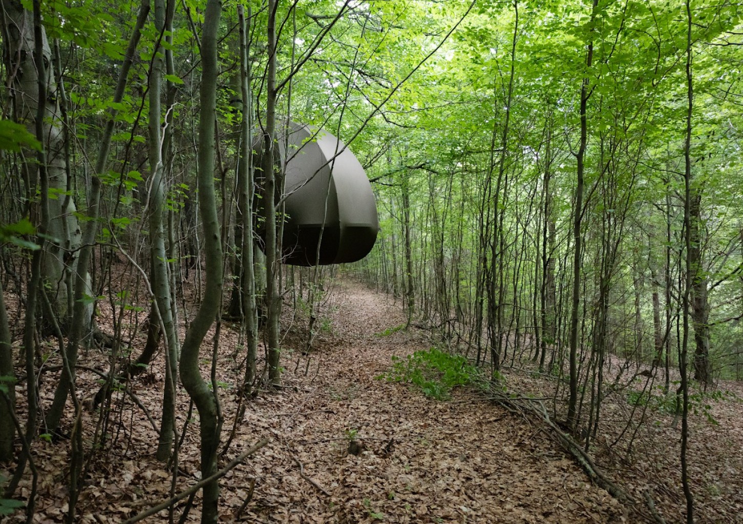 Urokliwy Pobyt w Namiocie na Drzewie (1 Noc, 1 Osoba) | Wisilas Nad Sercowym Potokiem | Rabka-Zdrój