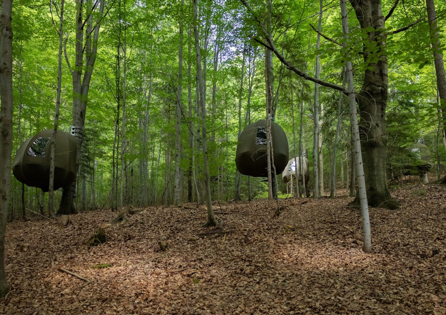 Urokliwy Pobyt w Namiocie na Drzewie (2 Noce, 1 Osoba) | Wisilas Nad Sercowym Potokiem | Rabka-Zdrój