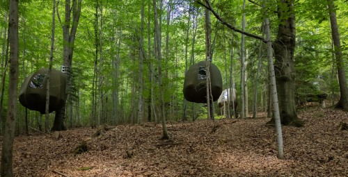 Urokliwy Pobyt w Namiocie na Drzewie (2 Noce, 1 Osoba) | Wisilas Nad Sercowym Potokiem | Rabka-Zdrój-Prezent na Mikołajki_P