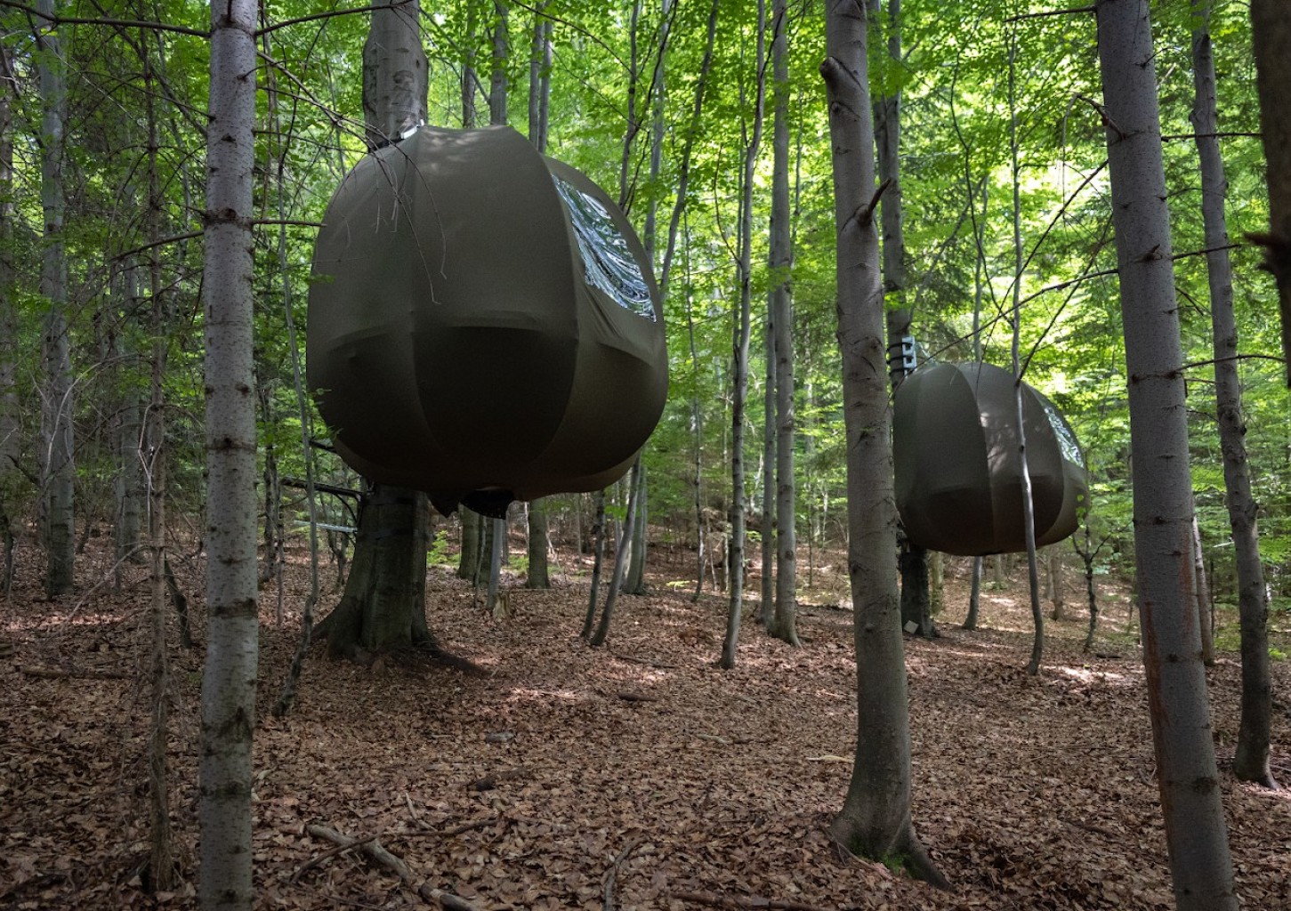 Urokliwy Pobyt w Namiocie na Drzewie (1 Noc, 2 Osoby) | Wisilas Nad Sercowym Potokiem | Rabka-Zdrój