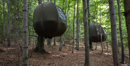 Urokliwy Pobyt w Namiocie na Drzewie (1 Noc, 2 Osoby) | Wisilas Nad Sercowym Potokiem | Rabka-Zdrój-Prezent na Urodziny_P