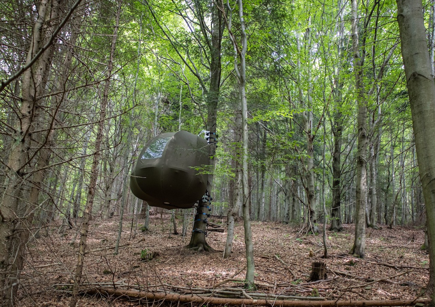 Urokliwy Pobyt w Namiocie na Drzewie (2 Noce, 2 Osoby) | Wisilas Nad Sercowym Potokiem | Rabka-Zdrój