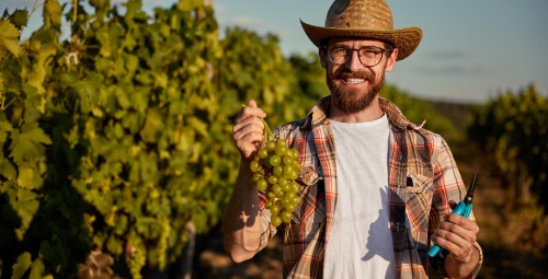 Zwiedzanie Winnicy z Degustacją | Modliborzyce | Prezent dla Znajomego_S