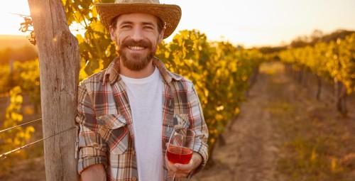 Zwiedzanie Winnicy z Degustacją | Modliborzyce | Prezent dla Niego_S