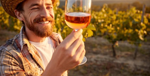 Zwiedzanie Winnicy z Degustacją | Modliborzyce | Prezent dla Kolegi_S