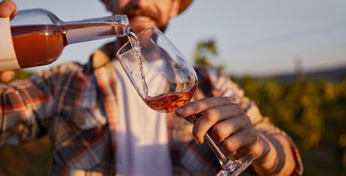 Zwiedzanie Winnicy z Degustacją | Modliborzyce | Prezent dla Faceta_S