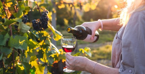 Zwiedzanie Winnicy z Degustacją dla Dwojga | Modliborzyce | Prezent dla Pary_S