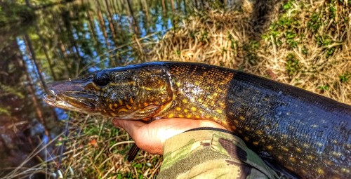 Obóz Wędkarski | Bory Tucholskie (okolice)-Prezent dla Narzeczonego_P