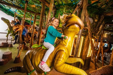 Całodniowa Przygoda w Parku Rozrywki dla Rodziny (3 osoby) | Warszawa (okolice)-Prezent dla Rodziny_P