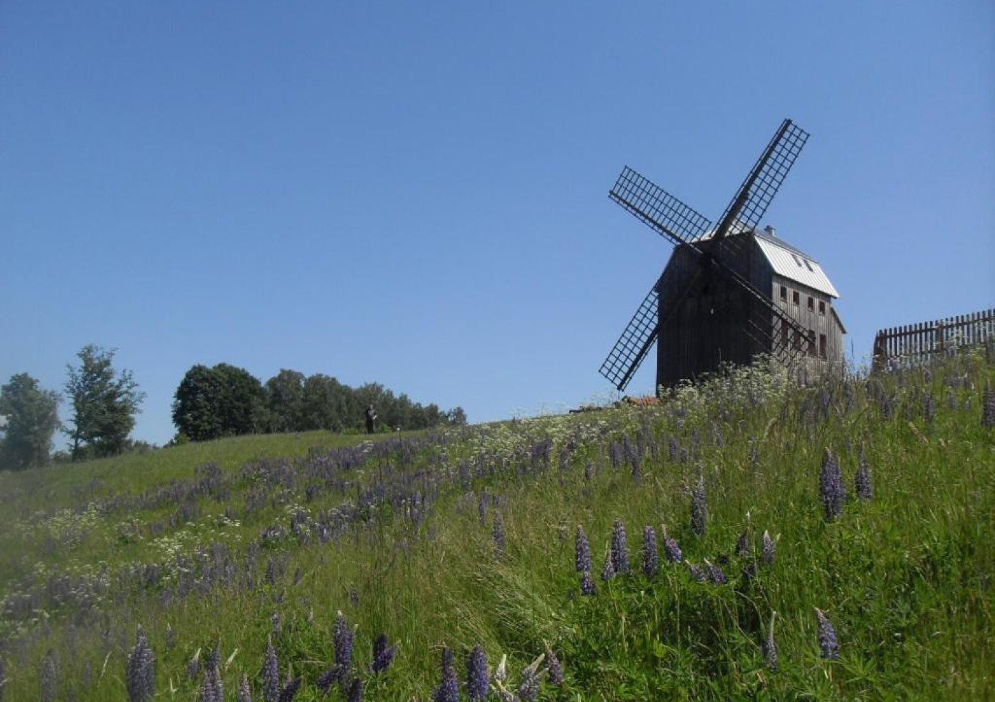 Rodzinny Pobyt w Wiatraku (2 Noce, 2-4 Osoby) | Wiatrak w Ręboszewie | Kartuzy