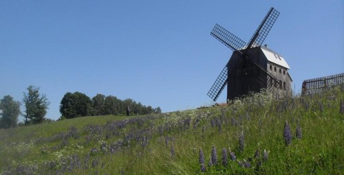 Rodzinny Pobyt w Wiatraku (2 Noce, 4 Osoby) | Wiatrak w Ręboszewie | Kartuzy-Prezent dla Rodziny_P
