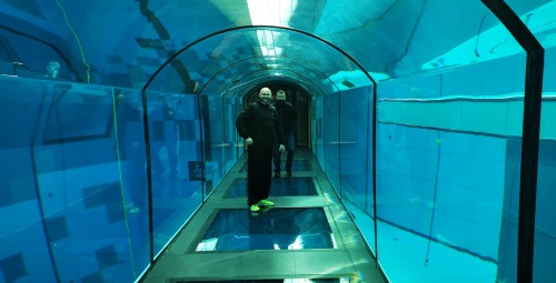 Poznaj Nurkowanie | Mszczonów-Prezent dla Kobiety_P