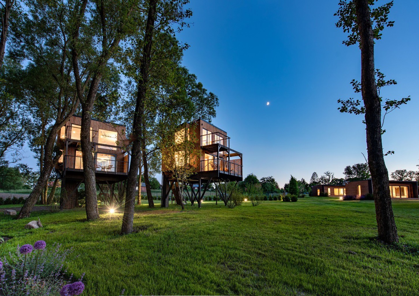 Odprężający Pobyt w Apartamencie w Koronach Drzew (2 Noce, 2 Osoby) | Pałac Warlity | Olsztynek (okolice)