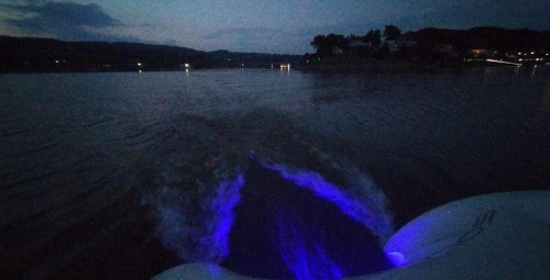 Romantyczny Rejs Elektrycznym Katamaranem dla Dwojga | Jezioro Rożnowskie (Nowy Sącz - okolice) | Prezent dla Rodziców_P