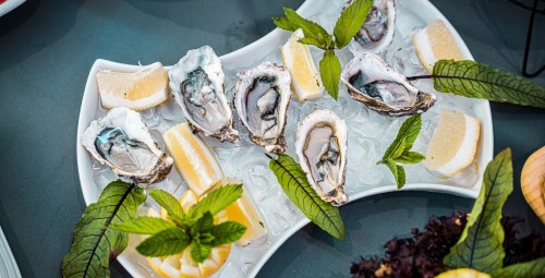 Kolacja Degustacyjna | Przeźmierowo | Prezent dla Niej_P