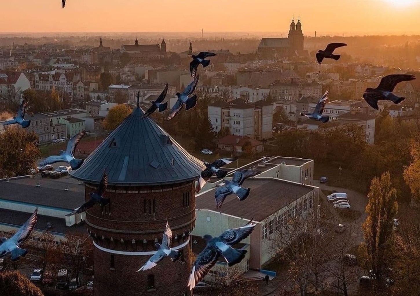 Pobyt w Apartamencie (2 Noce, 2 Osoby) | Wieża Gniezno | Gniezno