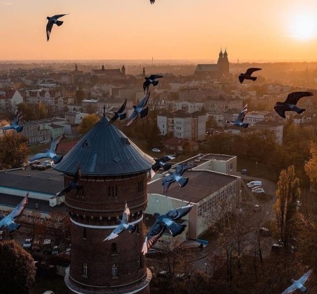 Pobyt w Apartamencie (2 Noce, 2 Osoby) | Wieża Gniezno | Gniezno