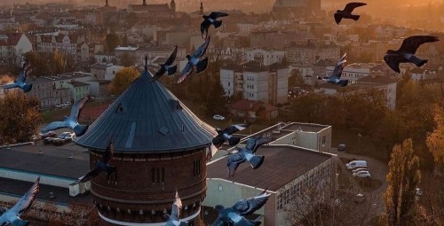 Pobyt w Apartamencie (2 Noce, 2 Osoby) | Wieża Gniezno | Gniezno-Prezent dla Pary_P