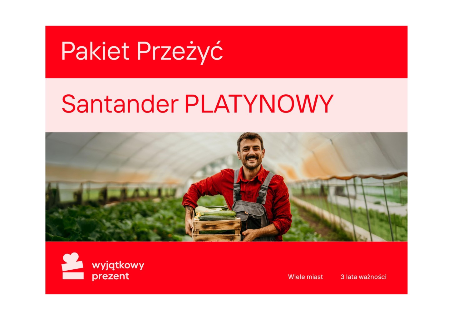 Santander Pakiet PLATYNOWY | 850,00 zł z Twoim kodem rabatowym
