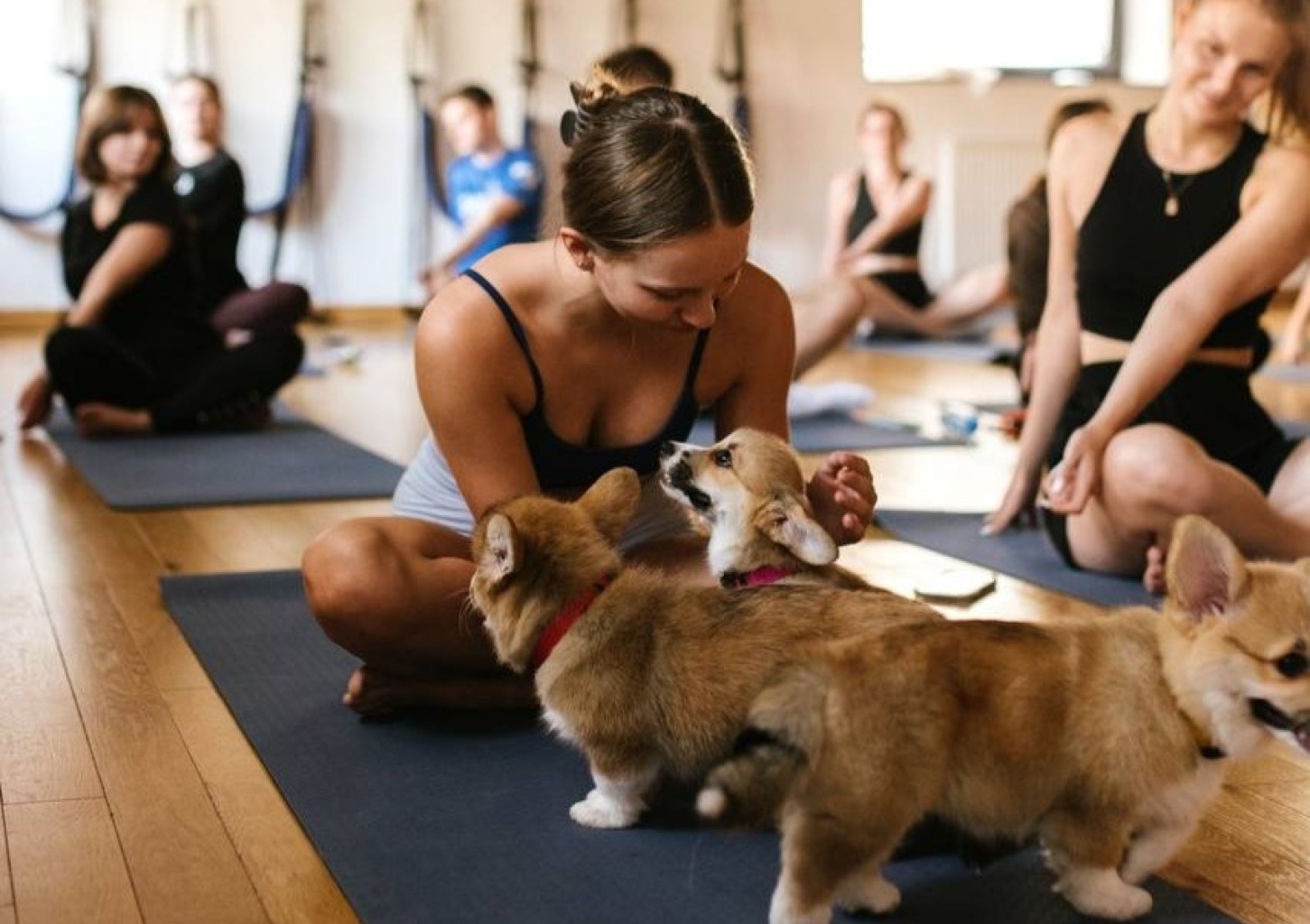 Puppy Joga | Wiele Lokalizacji