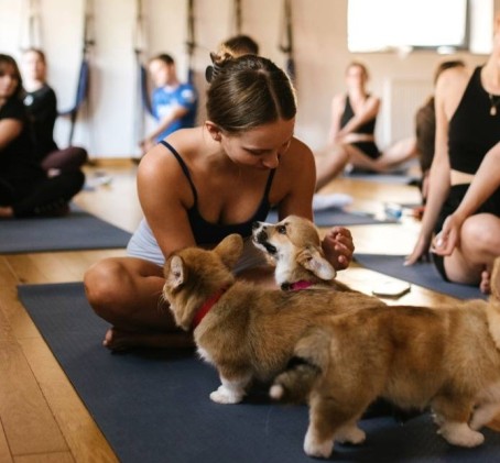 Puppy Joga | Wiele Lokalizacji