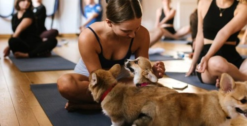Puppy Joga | Wiele Lokalizacji | Prezent dla Niej_P
