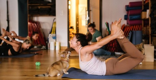 Puppy Joga | Wiele Lokalizacji | Prezent dla Córki_P