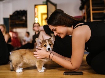 Puppy Joga | Wiele Lokalizacji | Prezent dla Znajomej_P