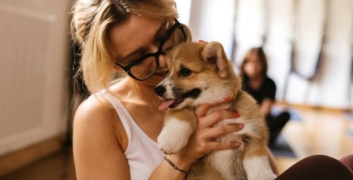 Puppy Joga | Wiele Lokalizacji | Prezent dla Kobiety_P