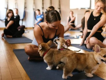 Puppy Joga dla Dwojga | Wiele Lokalizacji | Prezent dla Rodziców_P