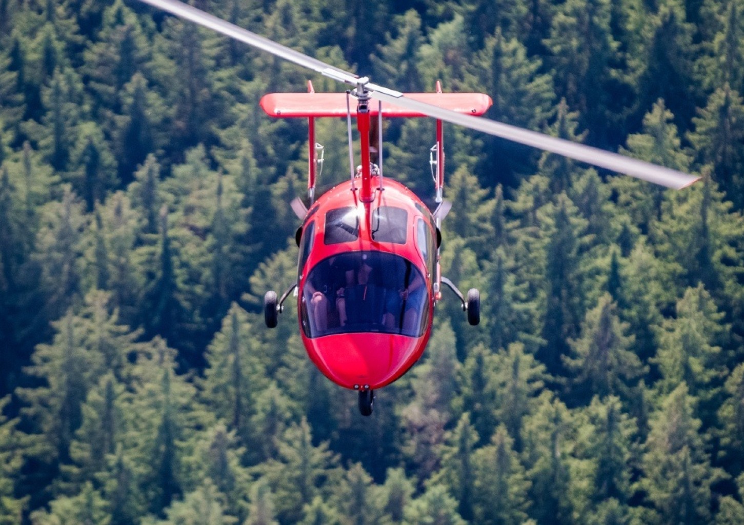 Lot Widokowy Wiatrakowcem (60 minut) | Chrcynno