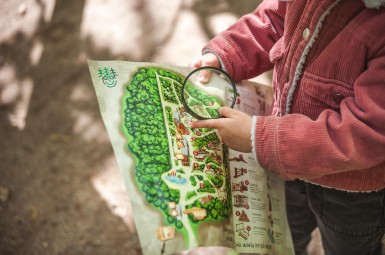 Całodzienna Przygoda w Lesie Odkrywców dla Rodziny (4 osoby) | Ułęż-Prezent na Mikołajki_P