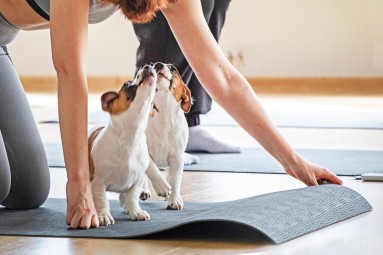 Puppy Joga | Łódź-Prezent dla Dziewczyny_S