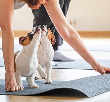 Puppy Joga | Łódź