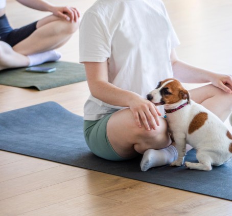 Puppy Joga dla Dwojga | Łódź