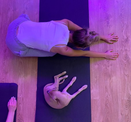 Puppy Joga | Wiele Lokalizacji