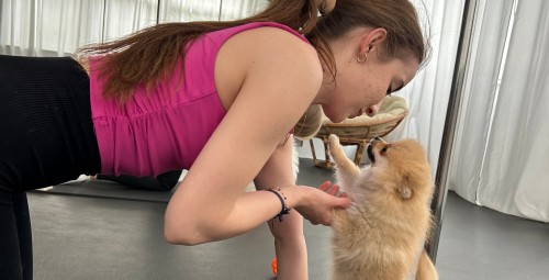 Puppy Joga dla Dwojga | Wiele Lokalizacji-Prezent na Walentynki_P