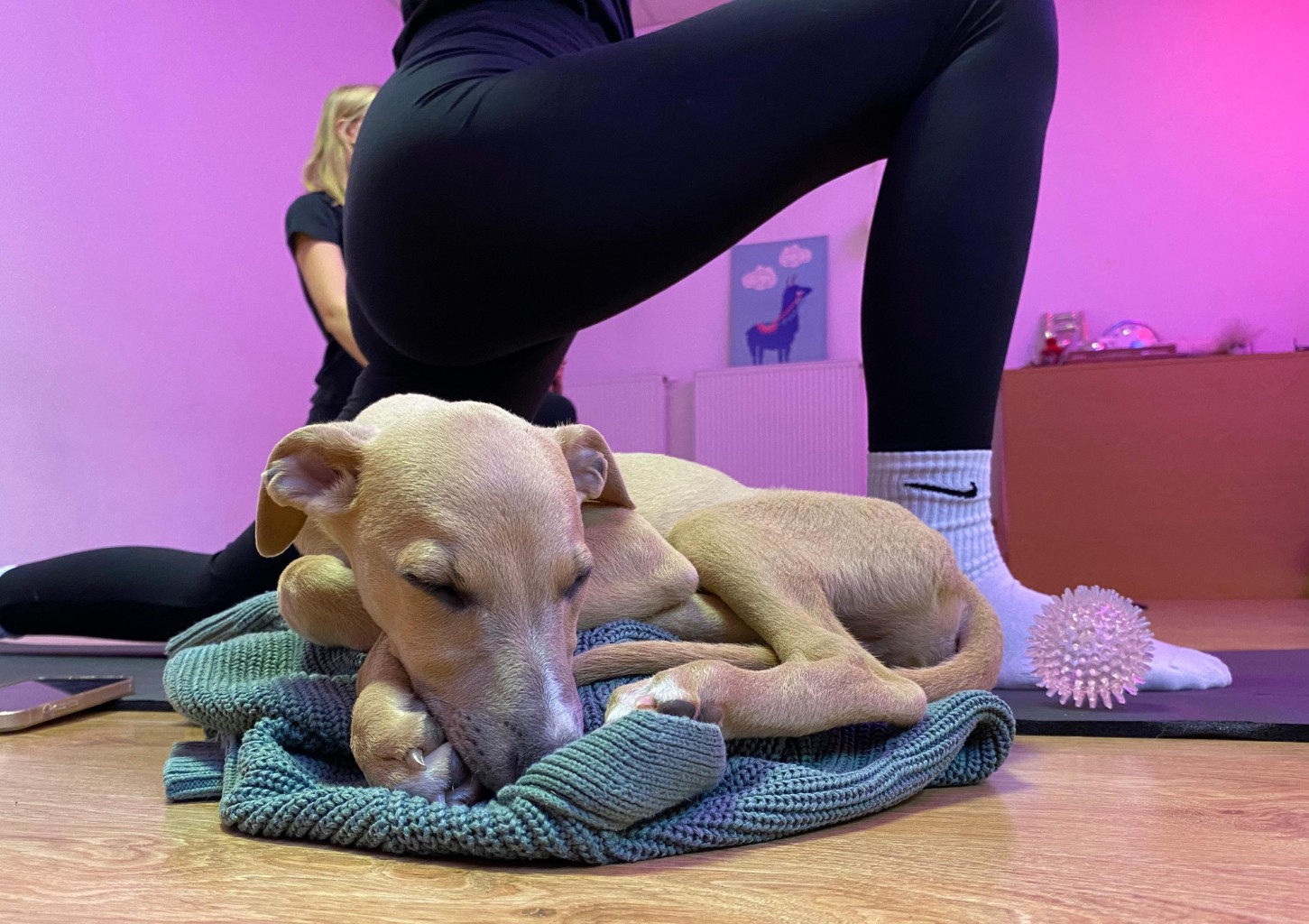 Puppy Joga dla Dwojga | Wiele Lokalizacji