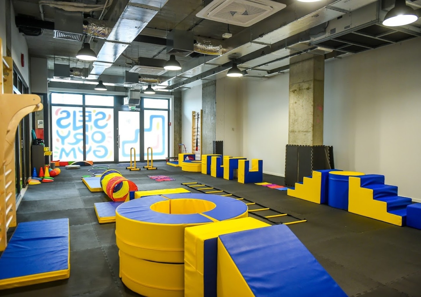 Karnet na Zajęcia Ogólnorozwojowe “Sensory Gym” dla Dzieci (12 zajęć) | Warszawa