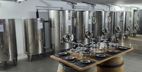 Zwiedzanie Winnicy z Degustacją | Trzebnica-Prezent na Urodziny_P