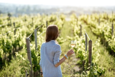 Zwiedzanie Winnicy z Degustacją | Trzebnica-Prezent dla Niej_S