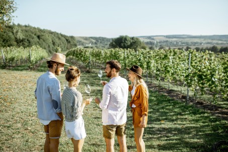 Zwiedzanie Winnicy z Degustacją dla Przyjaciół | Trzebnica