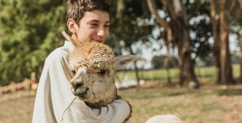 Spacer z Alpakami (90 minut) | Magdalenów | Prezent dla Brata_S