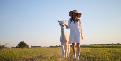 Spacer z Alpakami (90 minut) | Magdalenów | Prezent dla Żony_S