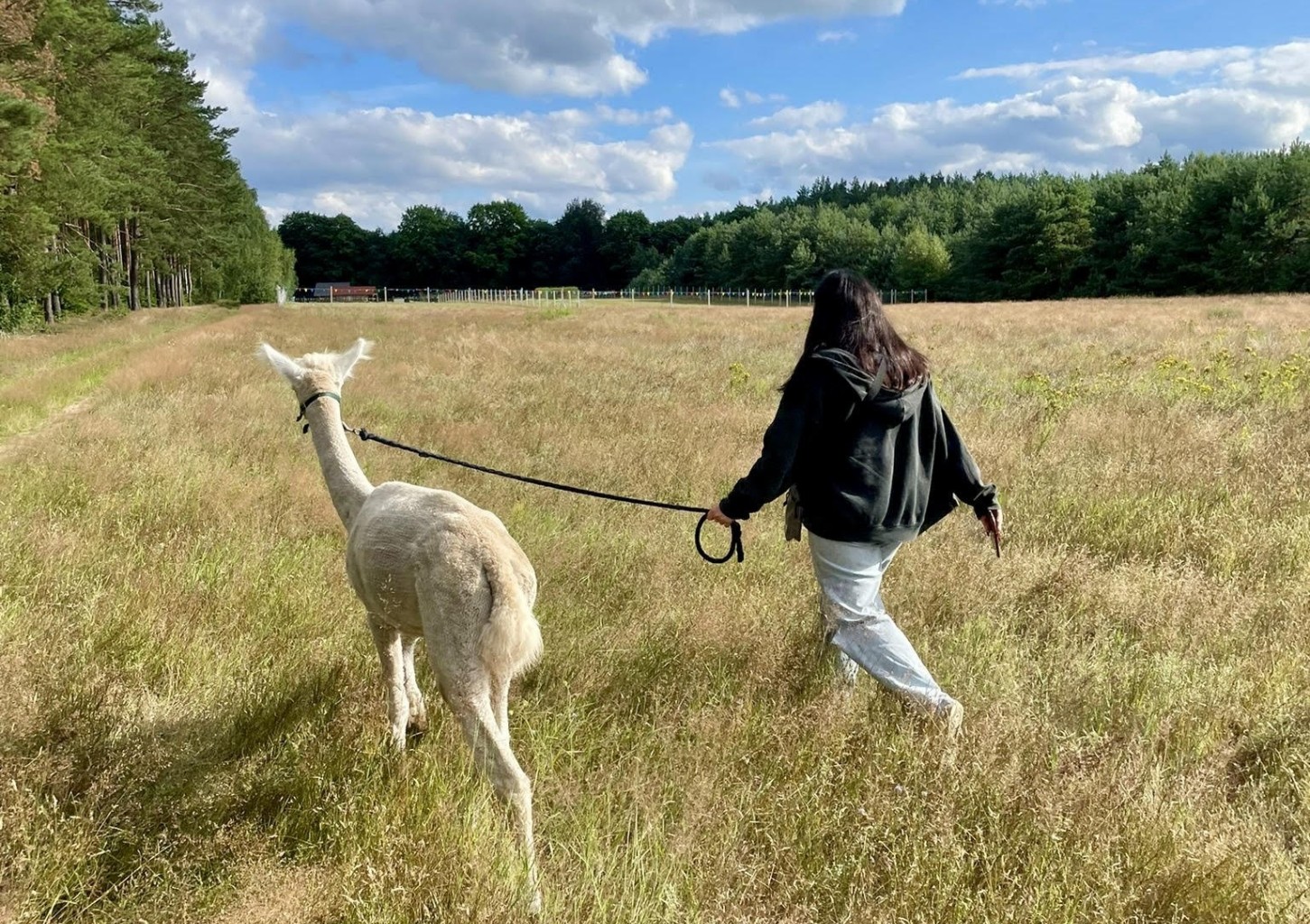Spacer z Alpakami dla Przyjaciół (4 Osoby) | Trzcinna