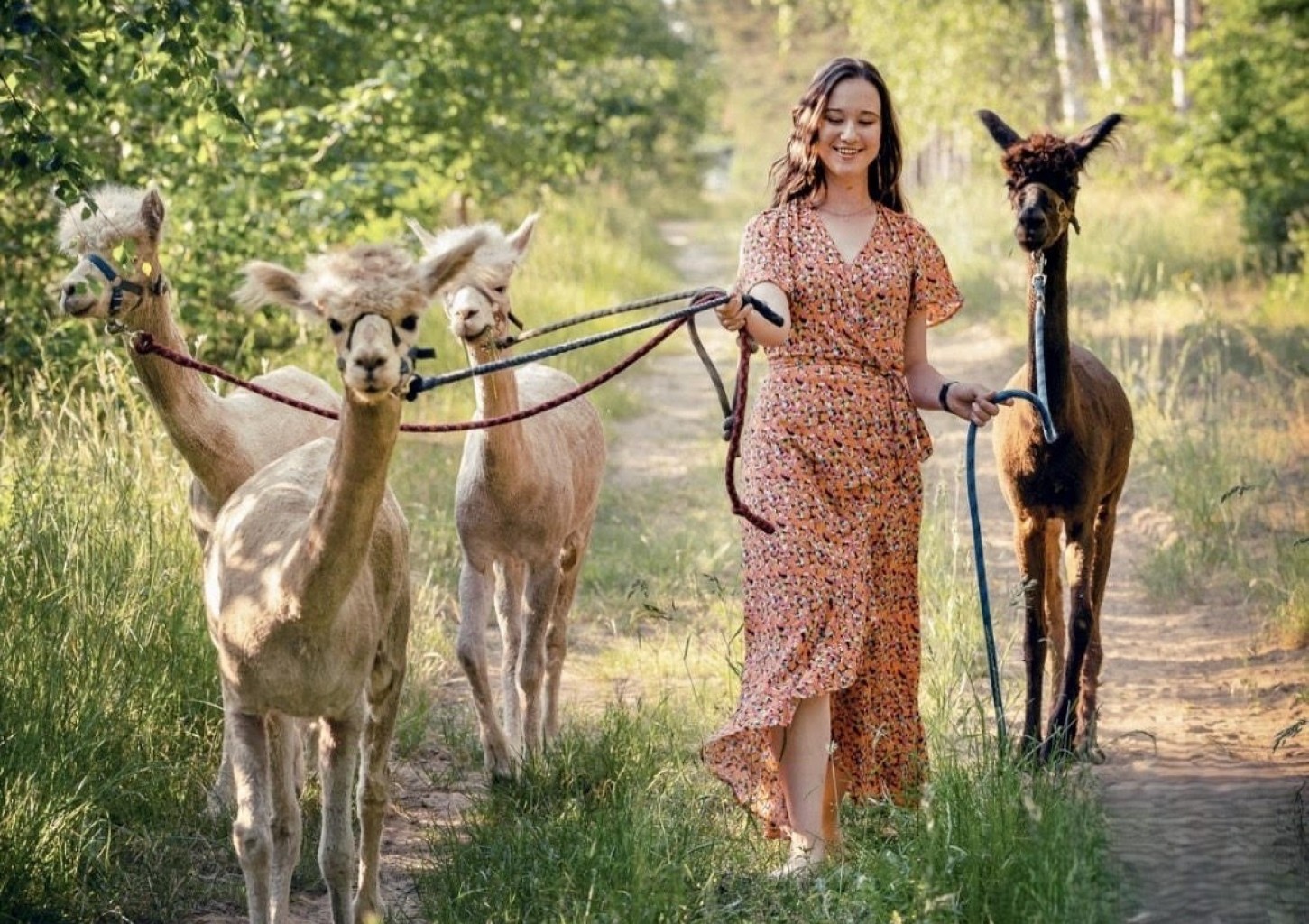 Spacer z Alpakami dla Przyjaciół (8 Osób) | Trzcinna