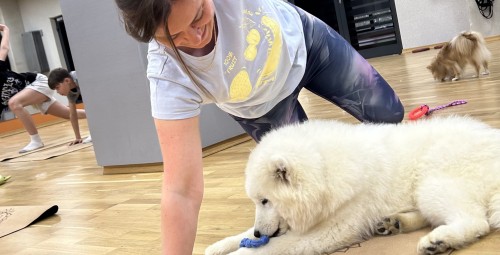 Puppy Joga | Gliwice-Prezent dla Niego_P