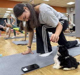 Puppy Joga | Gliwice-Prezent na Imieniny_P