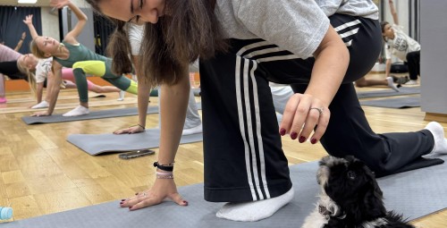 Puppy Joga | Gliwice-Prezent na Imieniny_P
