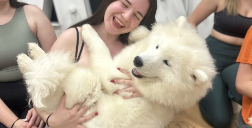 Puppy Joga dla Dwojga | Gliwice-Prezent dla Pary_P